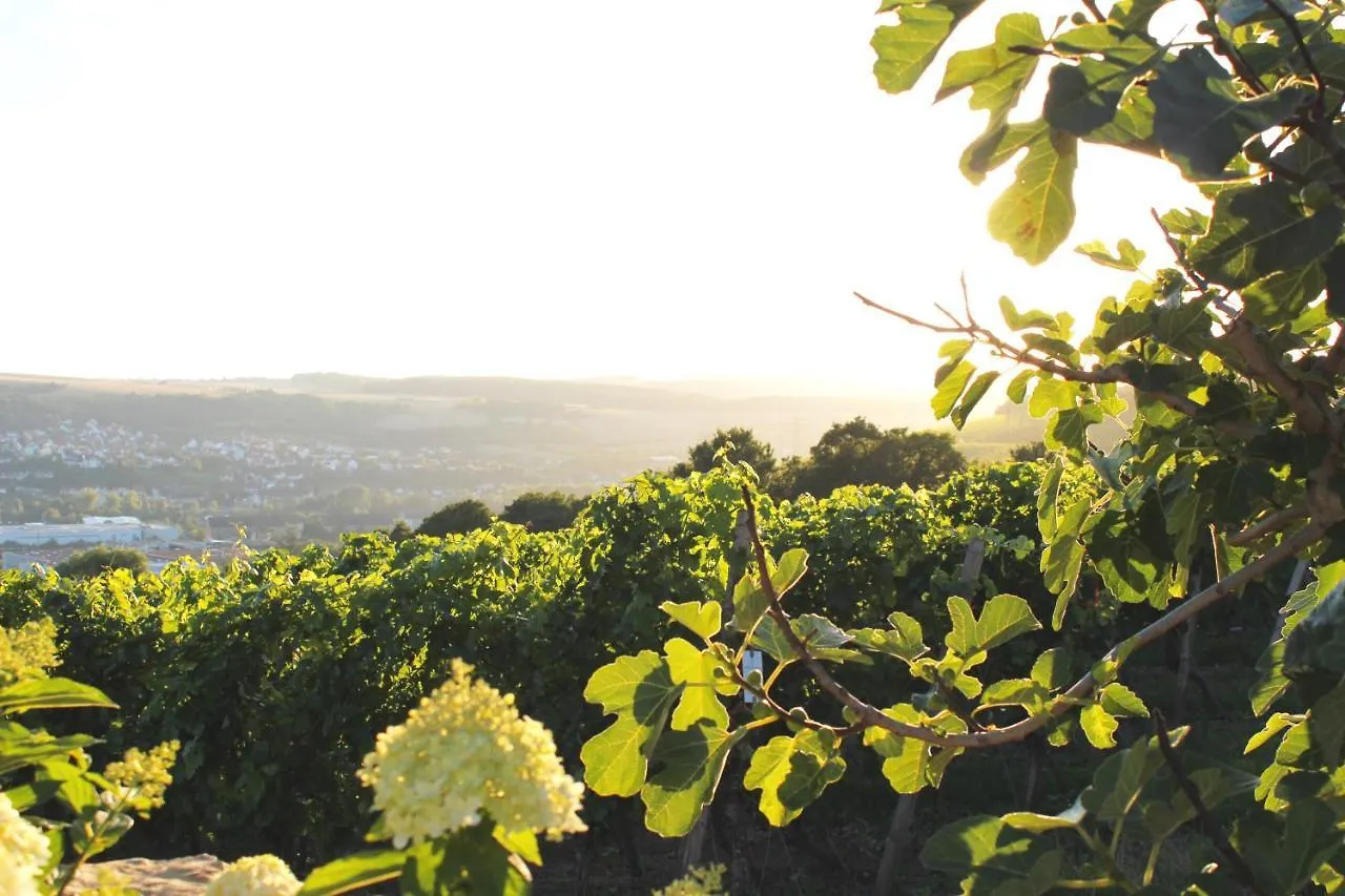 Colle Divino Apartman Würzburg