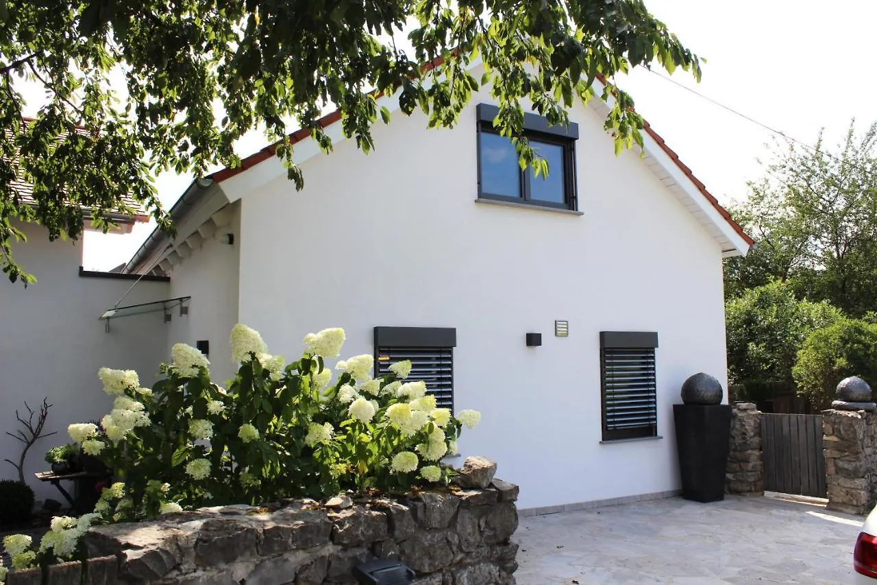 Ferienwohnung Colle Divino Würzburg 0*,